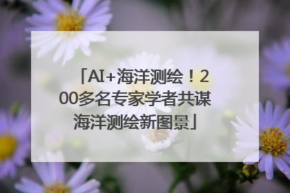 AI+海洋测绘！200多名专家学者共谋海洋测绘新图景