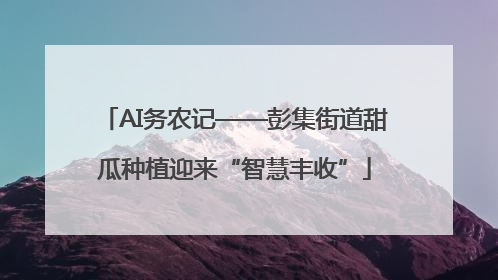 AI务农记——彭集街道甜瓜种植迎来“智慧丰收”