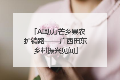 AI助力芒乡果农扩销路——广西田东乡村振兴见闻