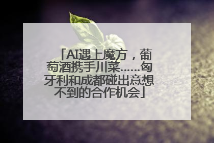 AI遇上魔方，葡萄酒携手川菜……匈牙利和成都碰出意想不到的合作机会