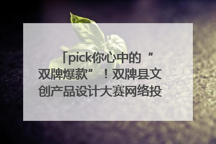 pick你心中的“双牌爆款”！双牌县文创产品设计大赛网络投票评选火热进行中